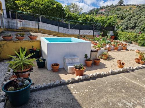 สภาพแวดล้อมโดยรอบ, Horse Riding Country House in วิลา ฟรองโค เดอ ซีลา