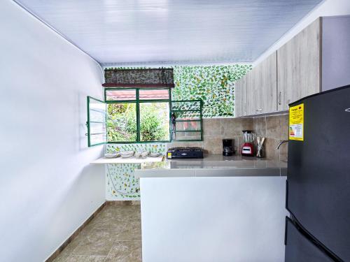 Konyha, Casa Tulipán (Casa Tulipan) in Buenavista (Quindio)