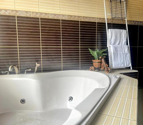 GyV Executive in טגוסיגלפה