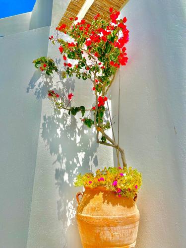 Anita Rooms & Suites Milos