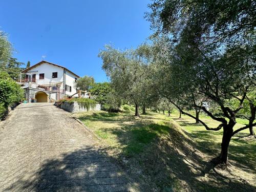 Agriturismo Uliveto Bartolomeo chambre d'hôte Lapide