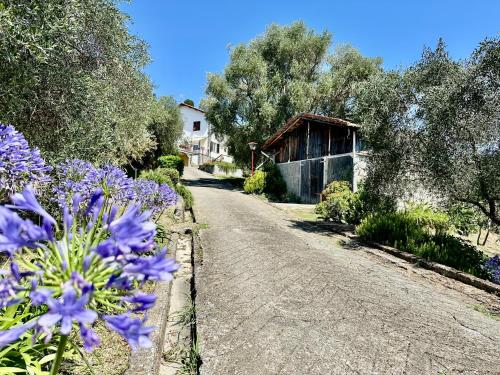 外部景觀, Agriturismo Uliveto Bartolomeo in 塞斯特里萊萬泰