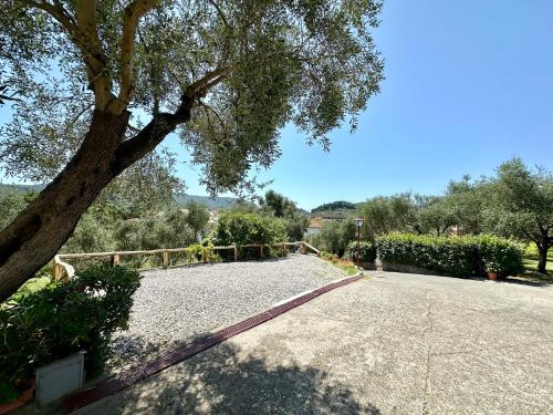 Agriturismo Uliveto Bartolomeo in 塞斯特里萊萬泰