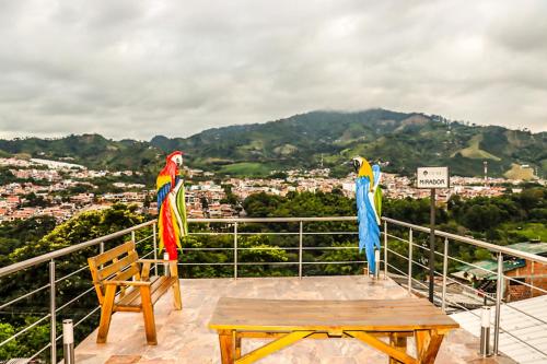 Ceiba Rooms Hotel in Olimpica
