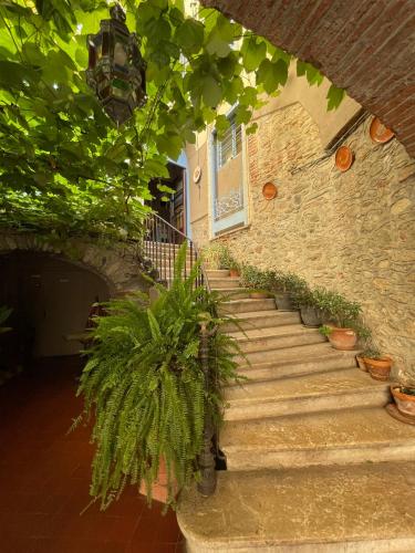 维达尔酒店 维达尔酒店