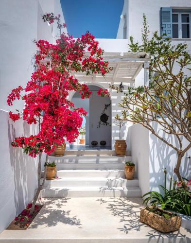 Anita Rooms & Suites Milos 3