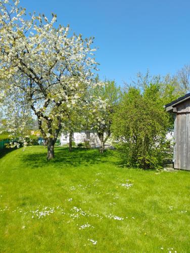 Skats, Landkate im Dorfkern in Struxdorf