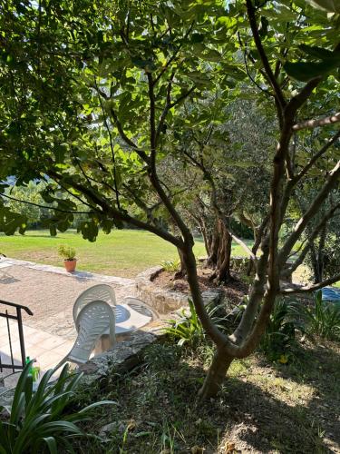 Apartman Sofija HN in Ratisevina