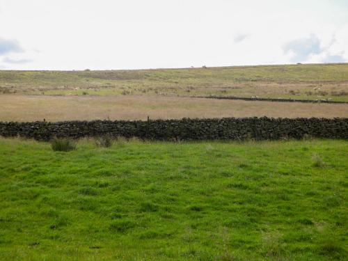 Downsdale Cottage - image 6