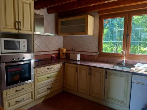 El Sauco de Ruente in Ruente