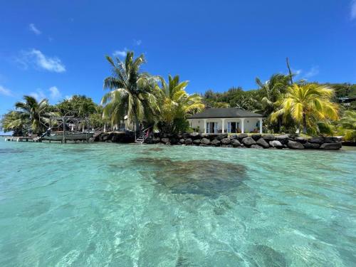 PARADISE