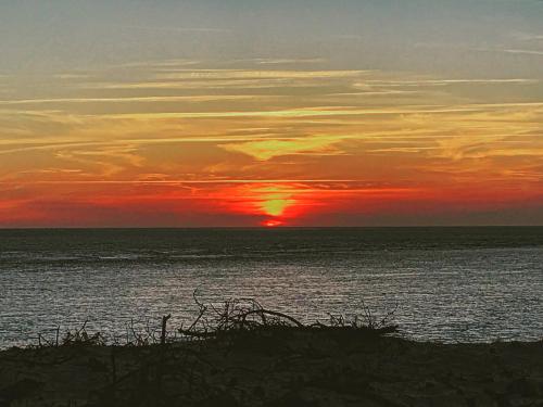 Aux pieds des plages, du port, de la piste cyclable et des commerces de proximité, un studio au dernier étage avec une vue panoramique sur le Bassin d'Arcachon, entièrement rénové, dans une résidence avec piscine