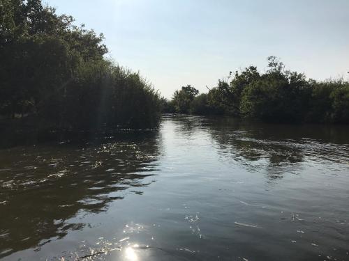 Aux pieds des plages, du port, de la piste cyclable et des commerces de proximité, un studio au dernier étage avec une vue panoramique sur le Bassin d'Arcachon, entièrement rénové, dans une résidence avec piscine