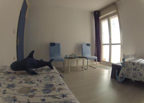 Adriatic Pearl, Split (photo 5)