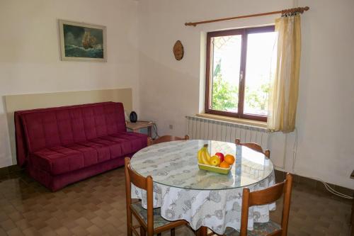 One-Bedroom Apartment with Terrace image 4