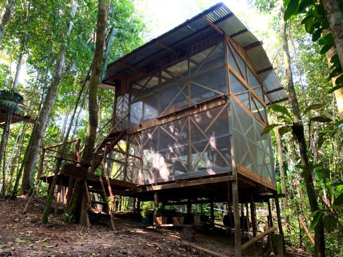 Reserva Îkü Amazonas