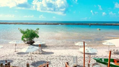 ชายหาด, SAMOA POLINÉSIA BEACH RESORT MURO ALTO Apto Térreo (SAMOA POLINESIA BEACH RESORT MURO ALTO Apto Terreo) in ปอร์โต เดอ กาลินฮัส