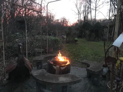 Un jardin en forêt (Un jardin en foret) in Samois-sur-Seine