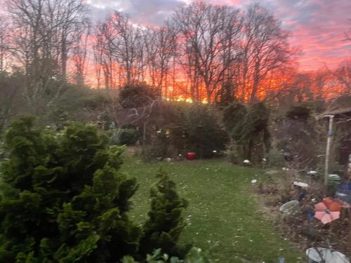 Un jardin en forêt (Un jardin en foret) in Samois-sur-Seine