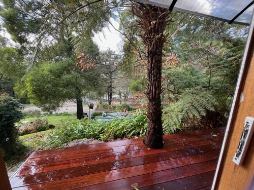 منظر, Lakeview On Sycamore in Emerald