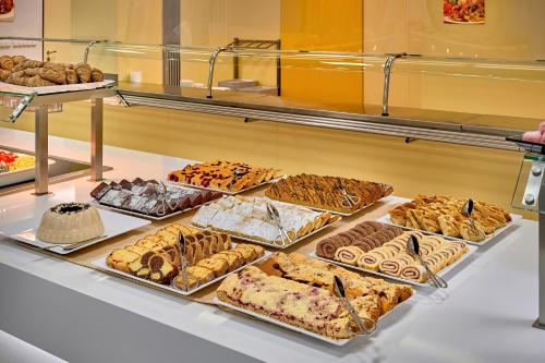 Congress & Wellness Hotel Olsanka - image 8