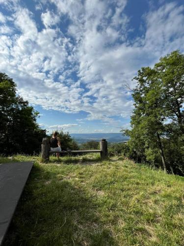 Tuvākā izklaides vieta, Apartmán Kostomlaty pod Milešovkou (Apartman Kostomlaty pod Milesovkou) in Trebenice