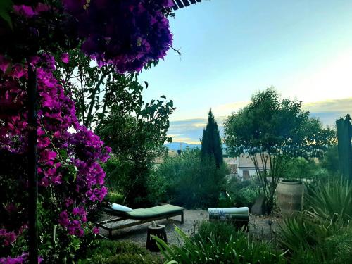 Dārzs, B&b il Giardino del Barone in Pozzomaggiore