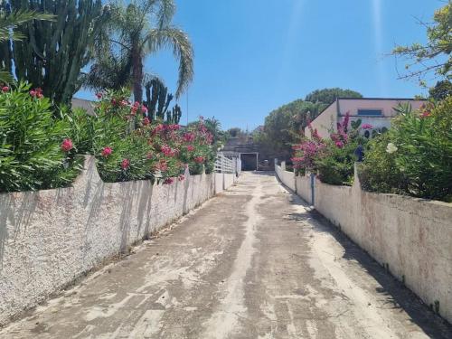 Elivulcano4 - PROPPRO SRL - isole eolie, Vulcano (foto 3)