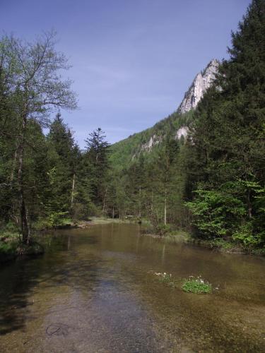 Ferienwohnung am Römerweg Wald - image 12
