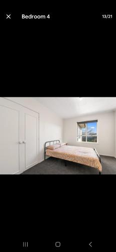 Adrenaline Seekers Retreat