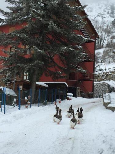 Hotel Hipic - image 2