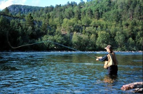 Lakselv Hotel - image 2