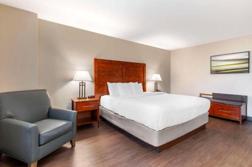 Comfort Inn Conference Center Bowie - image 7