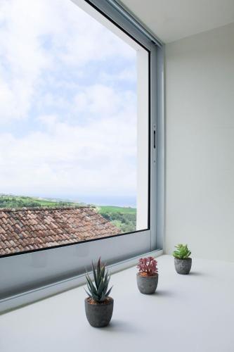 บริการและสิ่งอำนวยความสะดวก, House of Stars in อัลการ์เวีย