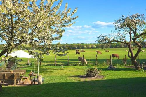 Terraza/balcón, Ferienwohnung Alte Schule Chorin Schorfheide in Chorin