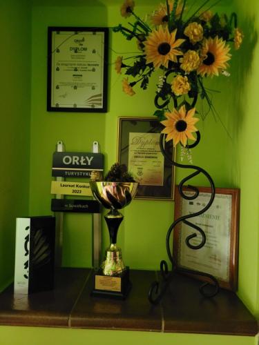 Dom Gościnny Woleninowo Dom Gościnny Woleninowo