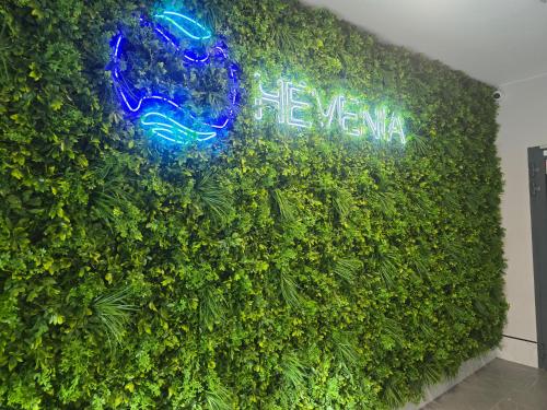Hevenia apartament 19