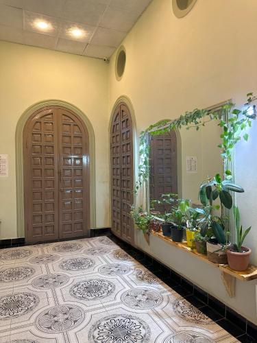 Flora Music & Art Hostel in ยาซามัล