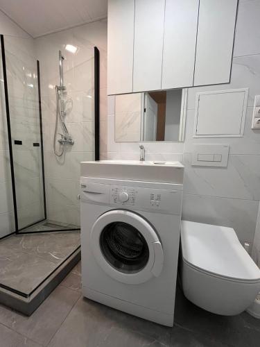 Tuš, One bedroom apartments in central Joniškis (One bedroom apartments in central Joniskis) in Gataučiai