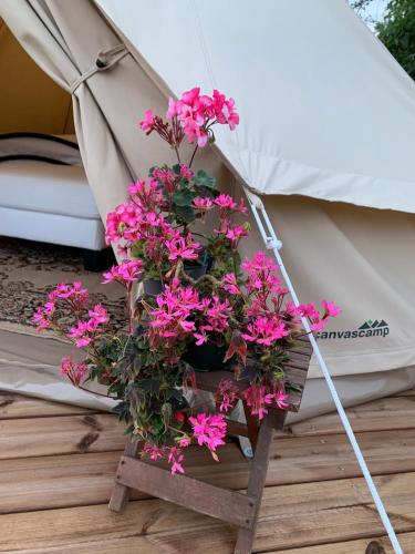 Glamping Ponsa in Kangasala