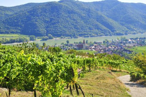 Gästehaus & Heuriger Turm Wachau - image 3