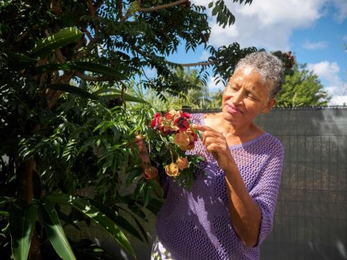 Studio Perle de Zanzibar Trois-Ilets Studio Perle de Zanzibar Trois-Ilets