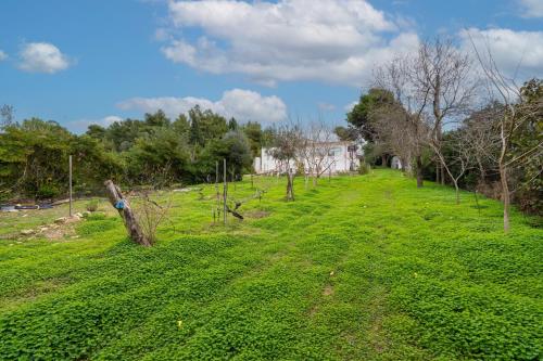 Filoxenia di Umberto