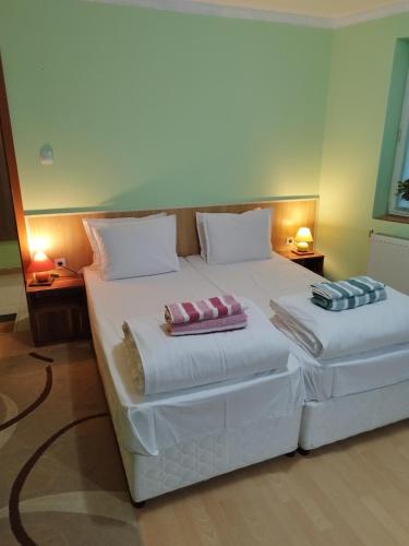 Aleks Guest House in Samokov