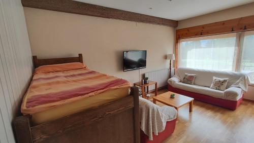 Apartament El Pla in Prats i Sansor