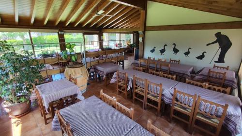 Hotel Pla del Pi in Prats i Sansor