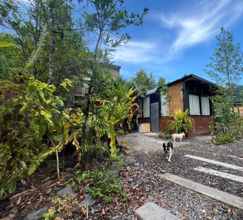 綠宿 4人獨立包棟 綠宿 4人獨立包棟