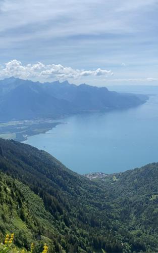 Kilátás, Close to Lake & Chillon Castle, New & Comfortable in Veytaux