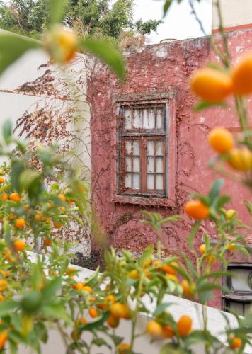 Casa Chic Palermo Hotel Boutique, Buenos Aires (fotografie 8)
