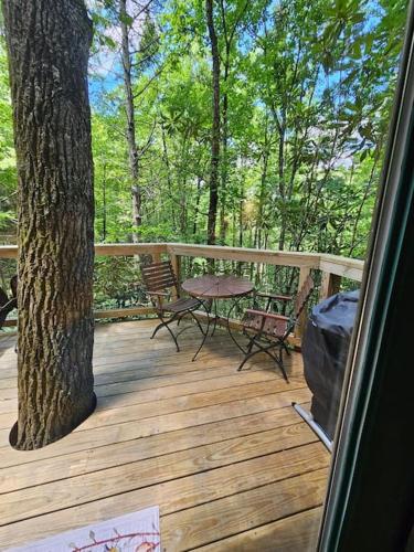 The Hidden Hemlock Tree House in Butler, USA